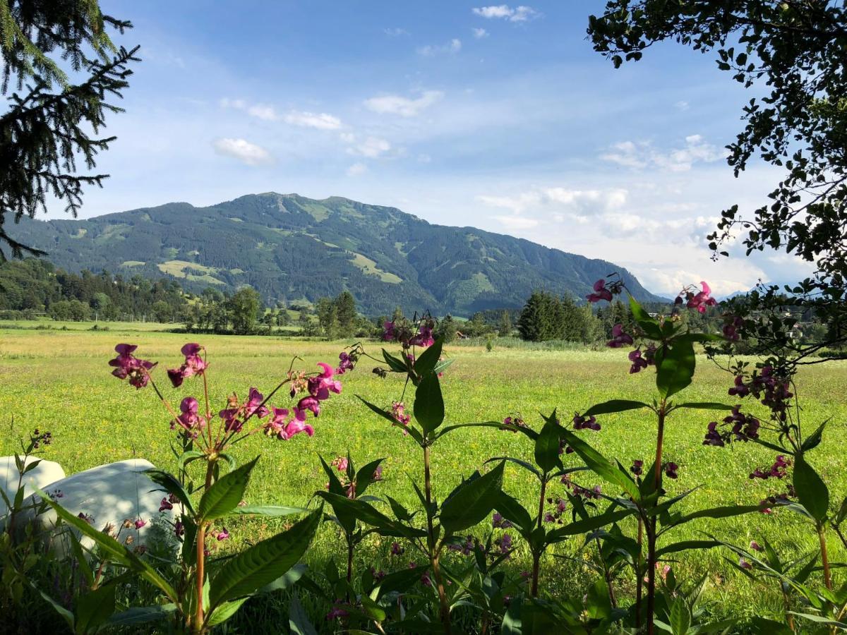 Pension Erlhof Saalfelden ภายนอก รูปภาพ