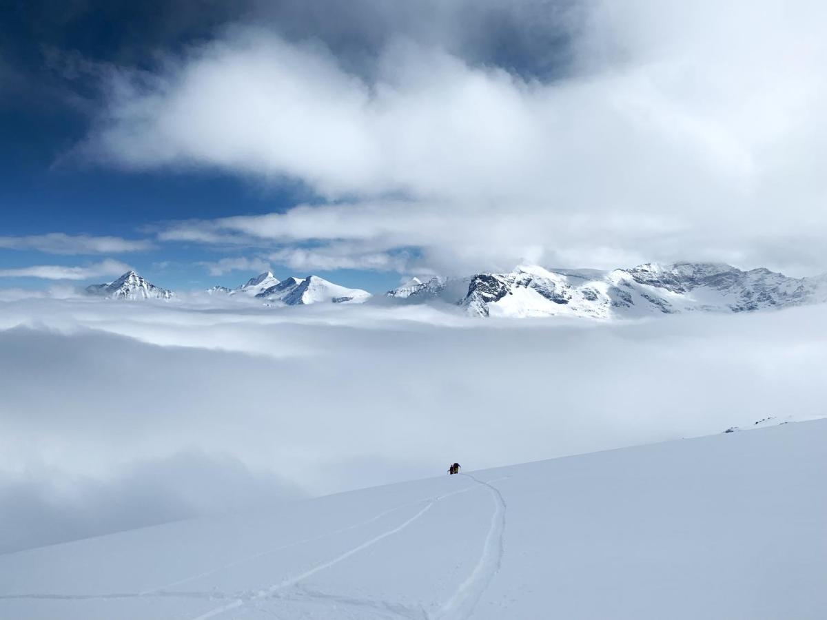Pension Erlhof Saalfelden ภายนอก รูปภาพ