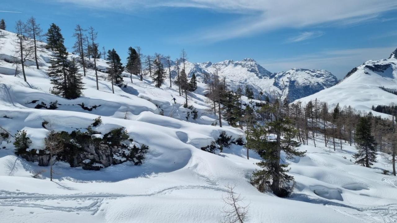 Pension Erlhof Saalfelden ภายนอก รูปภาพ