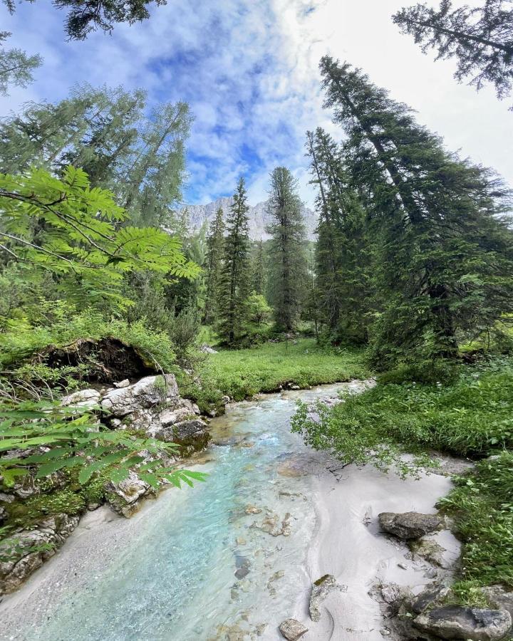 Pension Erlhof Saalfelden ภายนอก รูปภาพ