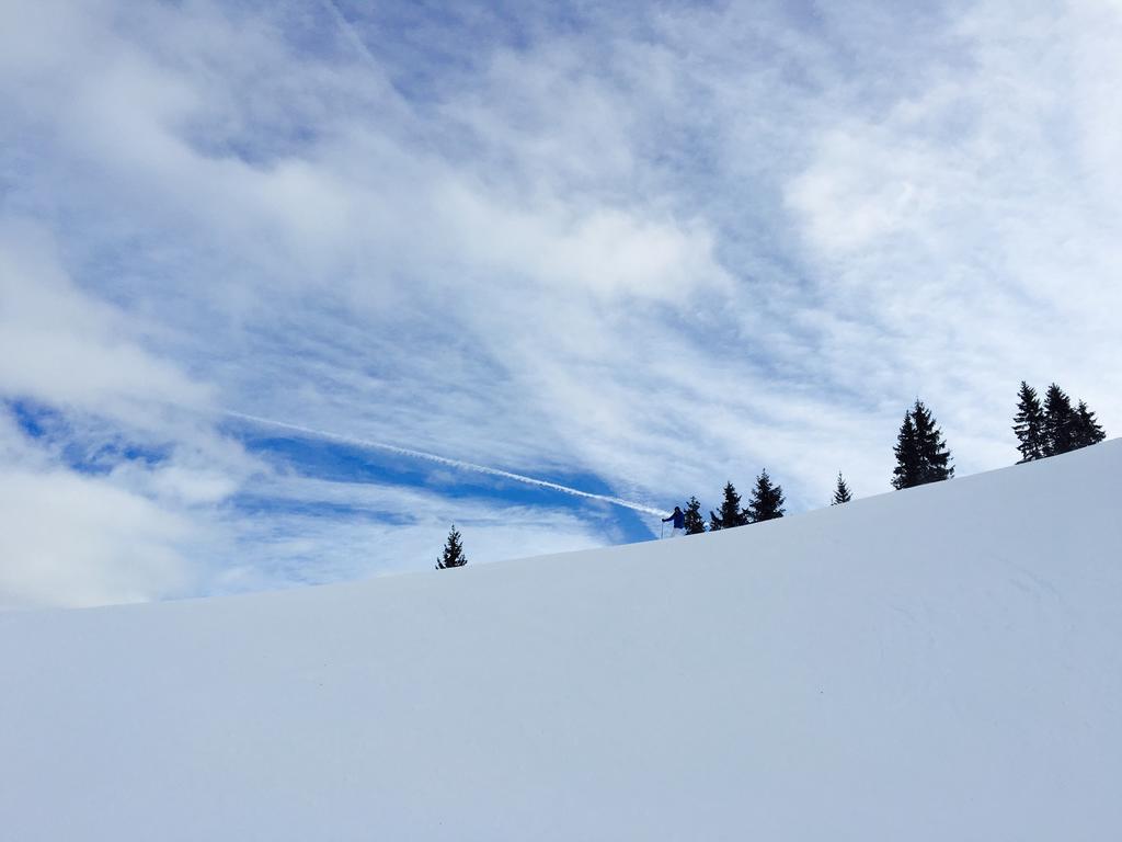 Pension Erlhof Saalfelden ภายนอก รูปภาพ