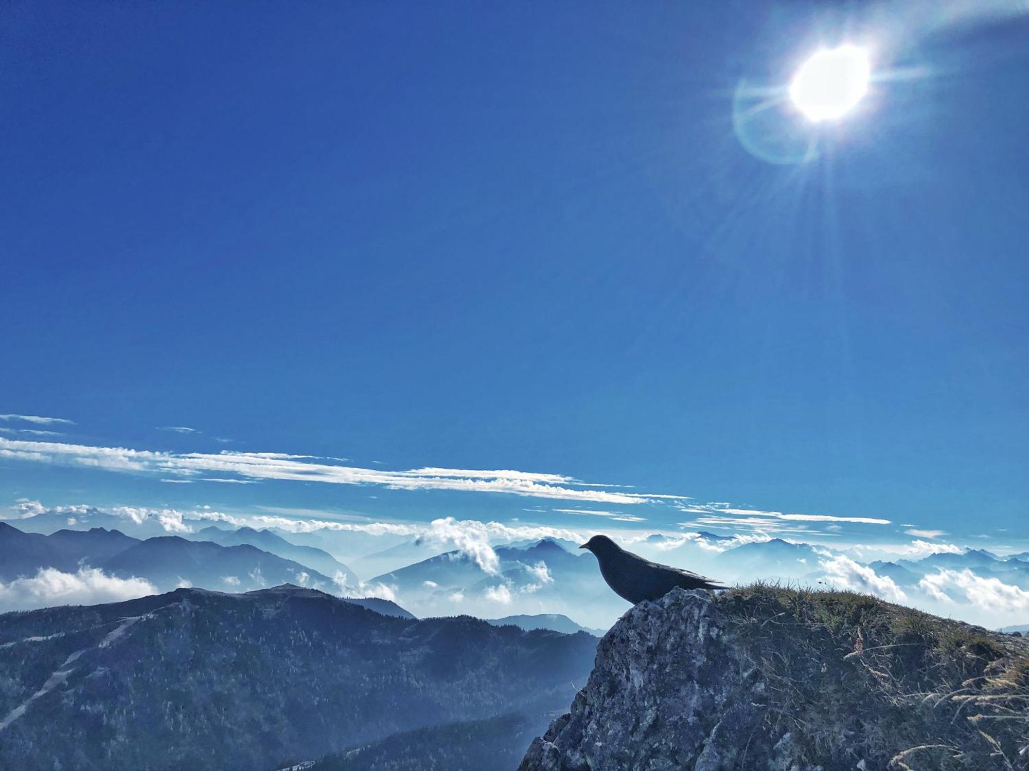 Pension Erlhof Saalfelden ภายนอก รูปภาพ
