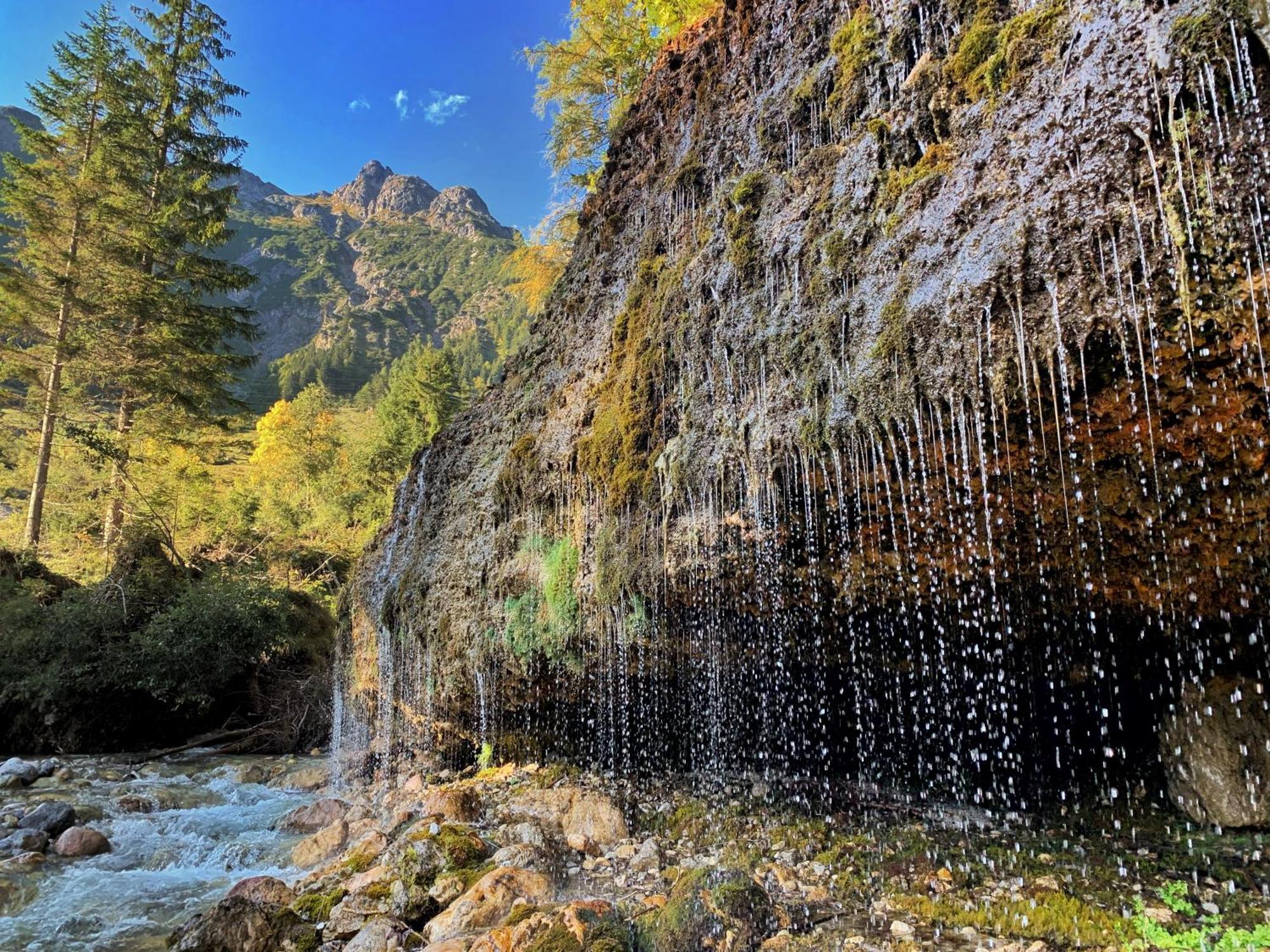 Pension Erlhof Saalfelden ภายนอก รูปภาพ