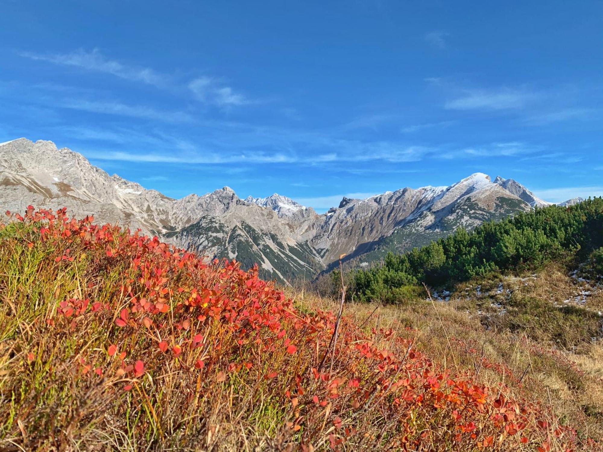 Pension Erlhof Saalfelden ภายนอก รูปภาพ