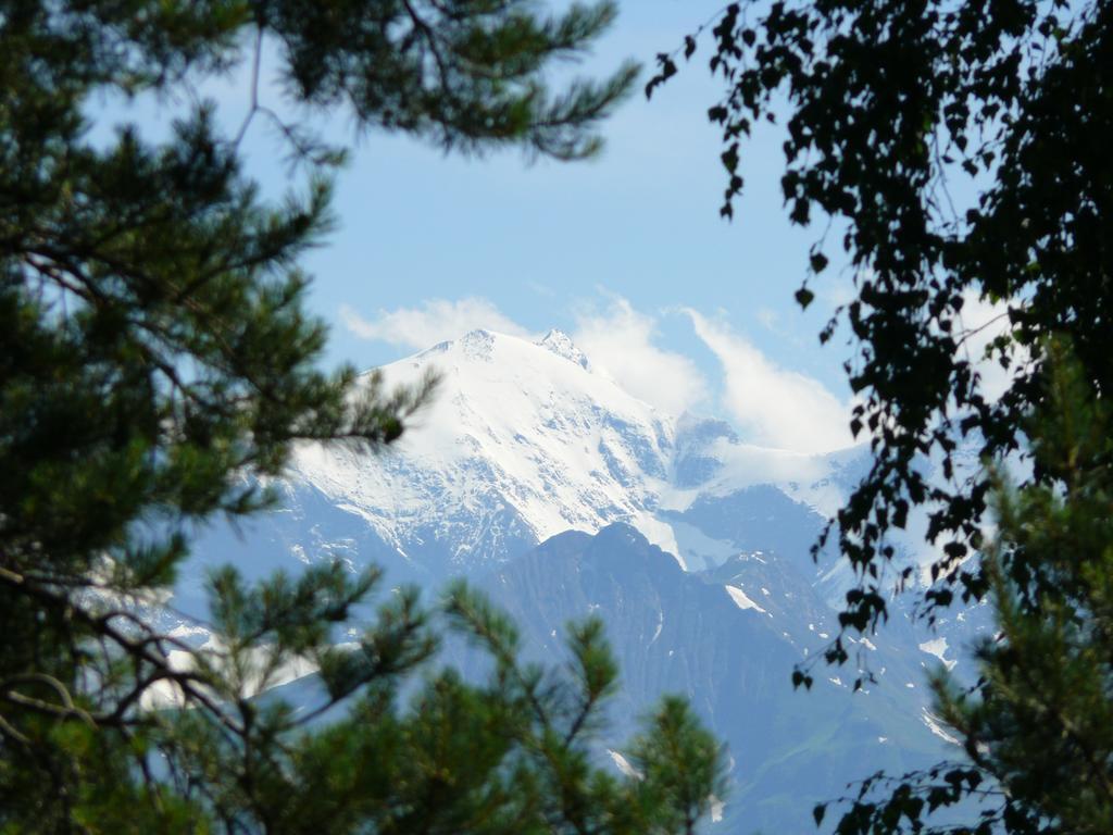 Pension Erlhof Saalfelden ห้อง รูปภาพ
